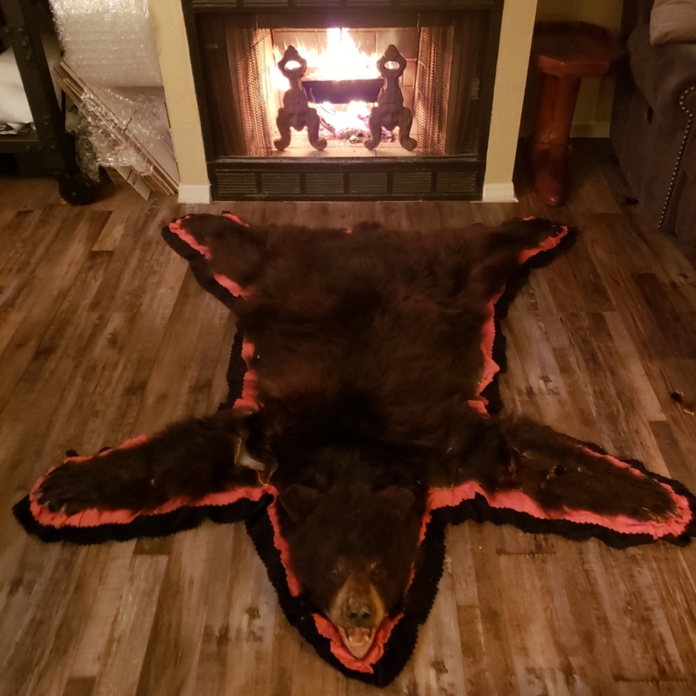Black Bear Skin Area Rug Shag 5.5x4.5 Feet